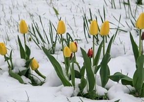 Афиша мероприятий на апрель