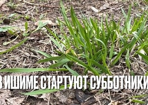 Давайте вместе наведём порядок в любимом Ишиме!