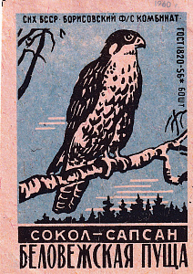 Спичечная этикетка из серии Беловежская пуща. Борисовский комбинат. 1960 г