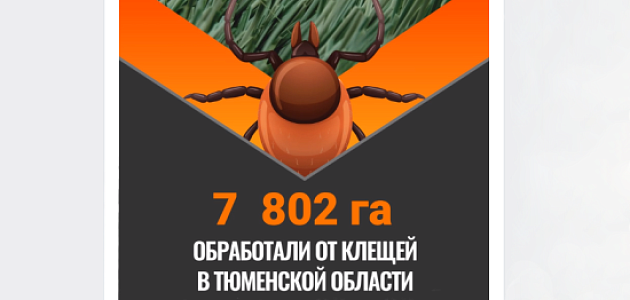 7 802 гектара общественных территорий обработали от клещей в Тюменской области