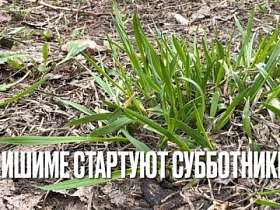 Давайте вместе наведём порядок в любимом Ишиме!